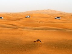 The UAE Formulating Regulations to Stop the Illegal Import of E-cigs