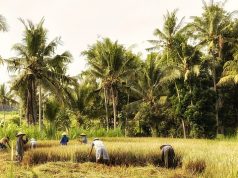 Indonesia to Impose 57% Tax on E-Liquids