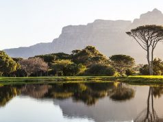 South Africa’s Proposed Tobacco and Vaping Regulations