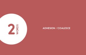 The Vaping Industry Must Learn 2 Words