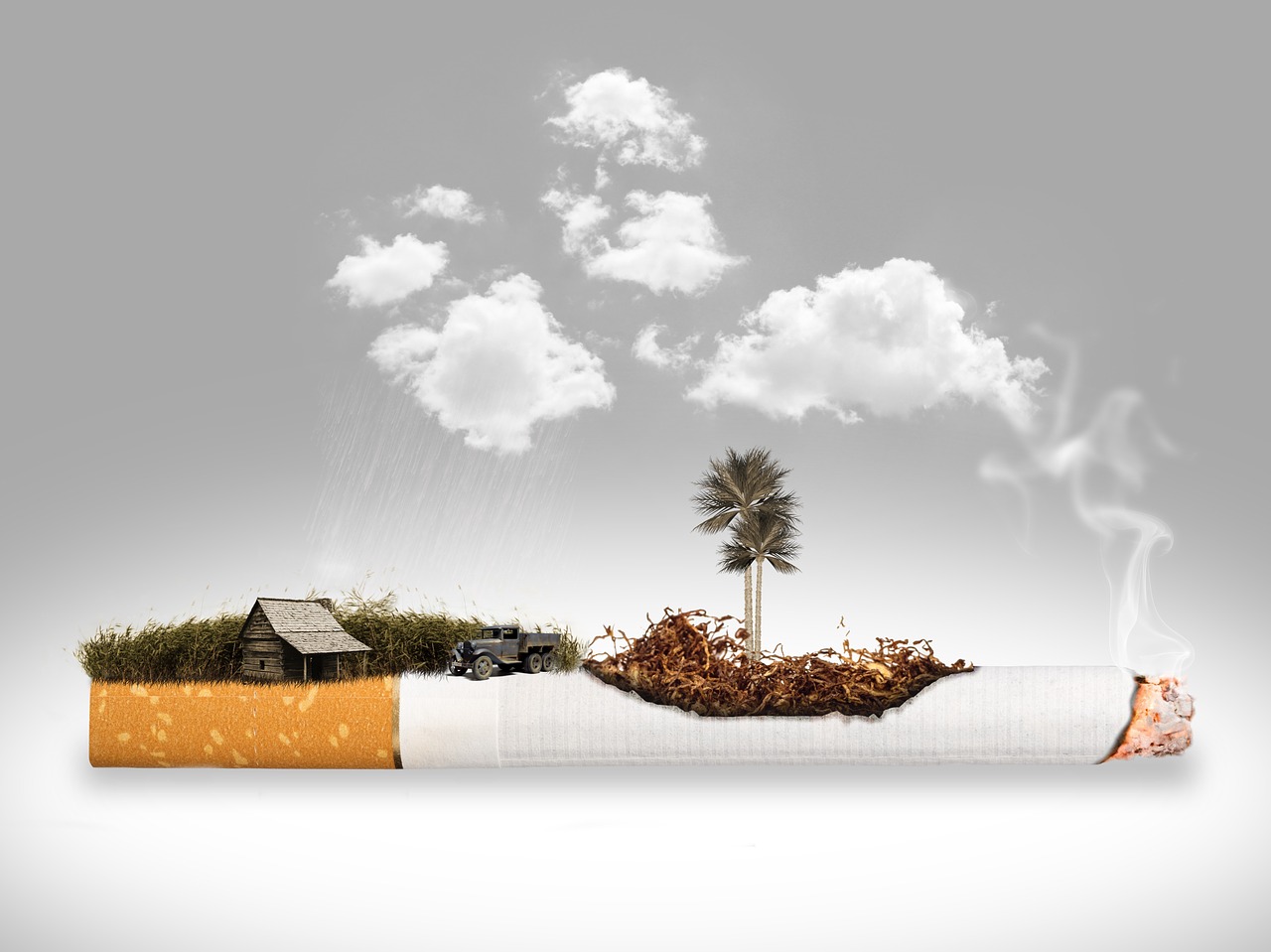 Zimbabwe: Tobacco Sales Drop by 44%