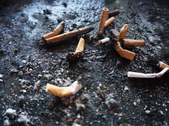How Cigarette Butts Pollute the Earth