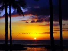 Hawaii Kills Proposal to Ban Flavoured Vaping Products