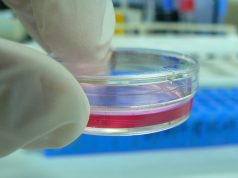 More health claims as FDA comes under pressure to be even tougher