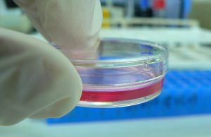 Study: Mice Exposed to Smoke In Utero Had Altered Sleep Patterns As Adults