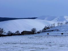 Mongolia: Tobacco Tax did not Increase Illicit Cigarette Trade