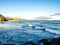 NZ Health Ministry: E-Cigs Are Intended Only For Smokers