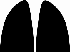 Zooming in on the Recent Study Linking Vaping to Chronic Lung Disease