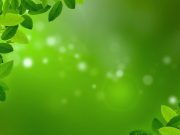 US Health Groups Urge The FDA to Ban Menthol Cigarettes