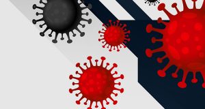 Virus atom