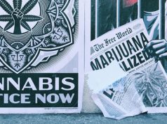 "cannabis justice now"