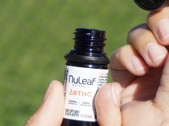 5 Doubts You Should Clarify About Delta 8 E-liquid Delta-8 THC oil