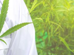 Medical marijuana, alternative herbal medicine concept