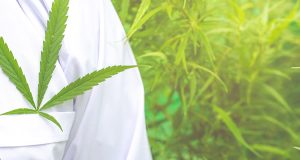 Medical marijuana, alternative herbal medicine concept