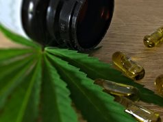 cannabis leaf and medecines