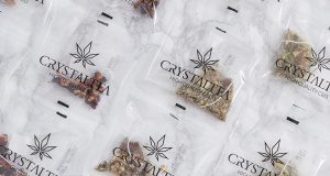 crystaltea weed