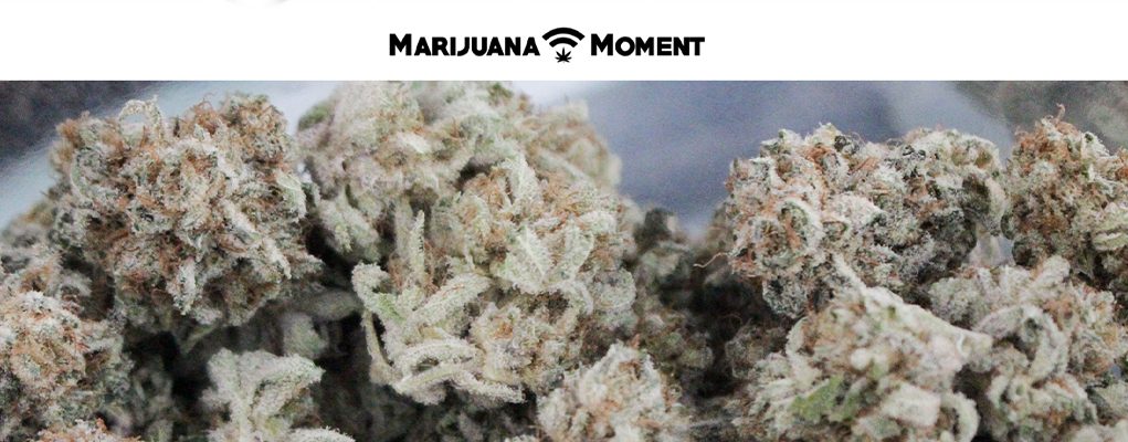 marijuana moment marijuana moment