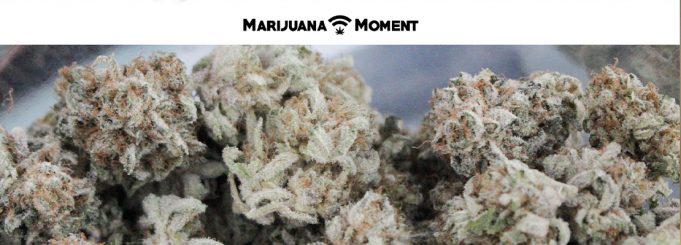 marijuana moment