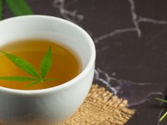 Alabama Medical Marijuana Bill Stalled cup of hemp tea with hemp leaf