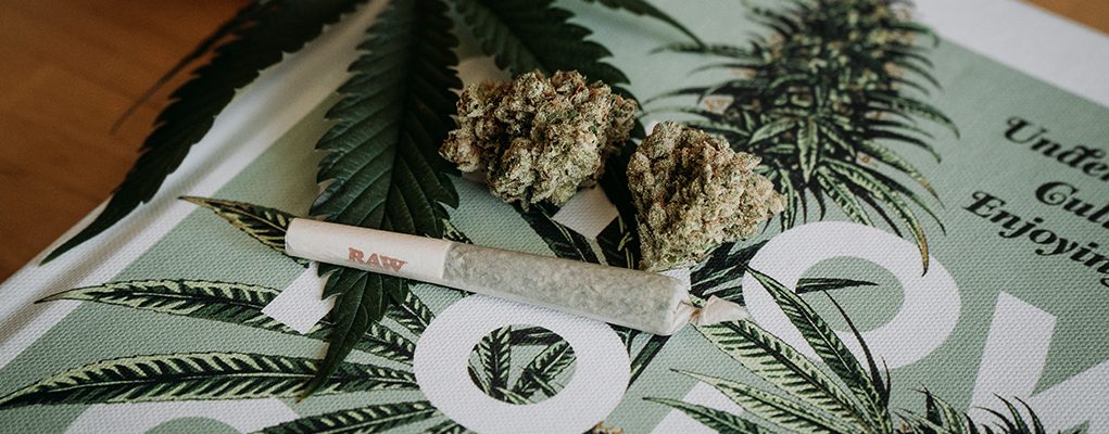 marijuana legalization