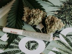 marijuana legalization