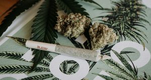 marijuana legalization