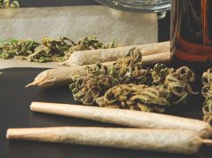 Marijuana Is Now Legal In Connecticut recreational marijuana