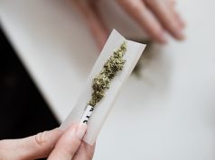 woman making cannabis joint