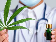 Doctor holding cannabis and oil