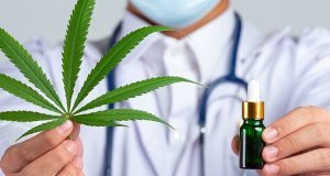 Doctor holding cannabis and oil