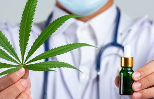 Doctor holding cannabis and oil
