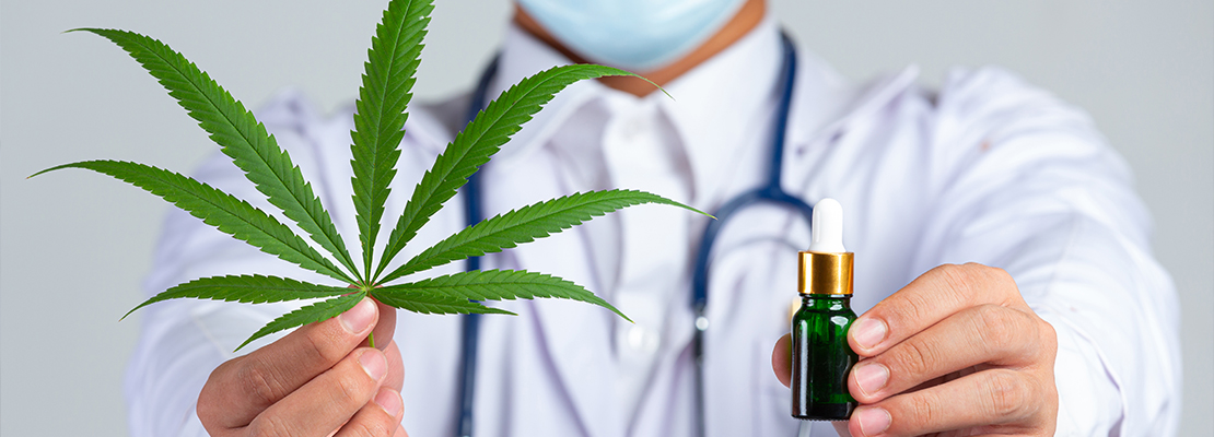Recent Figures: Medicinal Cannabis is Becoming Increasingly Popular in New Zealand - Vimarsana News