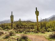 Texas Vape Shop Owner Pleads Guilty in EVALI Investigation