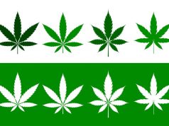 Marijuana Legalization Facing Challenges in Ohio