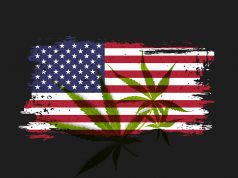 Marijuana Legalization on 2022 Election Ballots