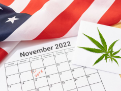Marijuana Reform After the Midterm Elections