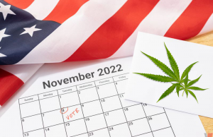 Marijuana Reform After the Midterm Elections
