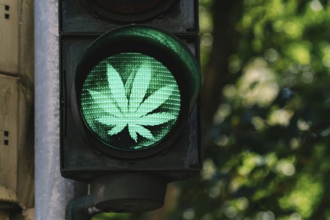 traffic light with cannabis sign - legalize it concept image