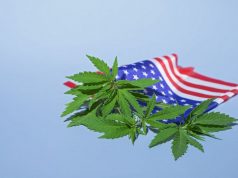 Marijuana Reform on the Docket In Several U.S. States