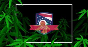 Ohio legalization cannabis