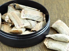 The Rise of Snus and Resulting Decline in Smoking in Norway السنوس Snus للإقلاع عن التدخين