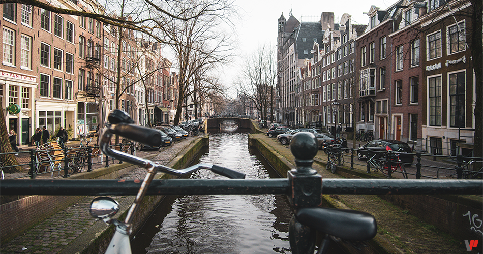 Ultra-Restriction of Flavors in the Netherlands: An Example Not to Follow