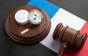 France’s Criminilization of Nicotine Pouches Raises Questions Over Tobacco Harm Reduction Policy حظر بيع أكياس النيكوتين في فرنسا