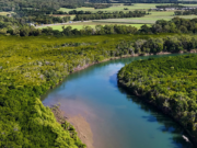 Guyana Moves to Block Recreational Vape Imports
