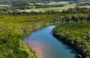 Guyana Moves to Block Recreational Vape Imports