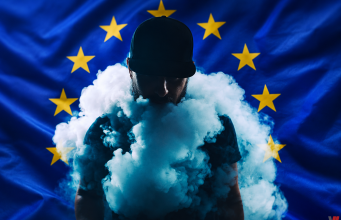 TPD: Eight Countries Call for a Ban on All Flavours and Plain Packaging for E-Cigarettes